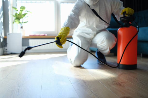 Pest Control Cost in Hutto, TX